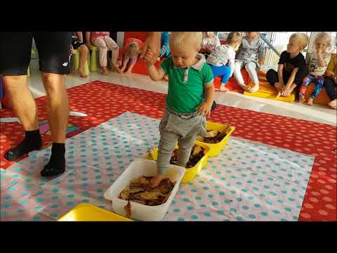 Tor sensoryczny - jesień