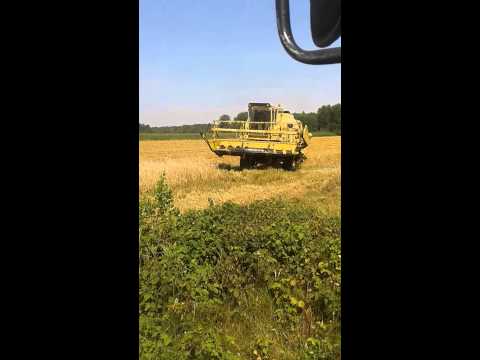 New Holland S1550 żniwa 2014 Okolice Siemiatycz