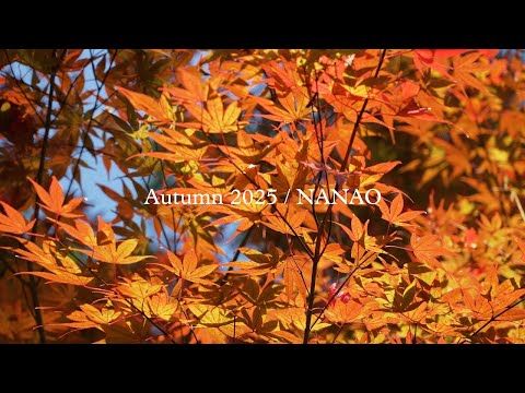 2025 Autumn in Nanao 秋の七尾｜いつもの景色を秋が染めていました