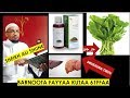 BARNOOTA FAYYAA KUTAA 61FFAA RAAFUU SHINBIRROO ROCCA جرجير
