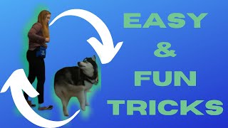 Easy Spin Tutorial