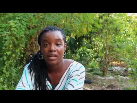 Shakirah Bourne NIFCA 2012 FINAL Writer's Profile