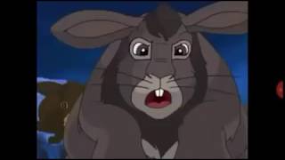 Watership Down:All Bigwig&#39;s Fights [Seasons 1,2,3)