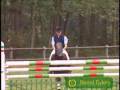 Gimme 8 More Seconds- Horse Version!