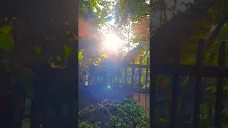 Download lagu story wa di pagi hari mp3 Download lagu story wa di pagi hari mp3