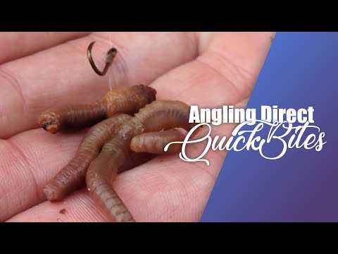 AD QuickBite - How To Tie The Worm Kebab Rig