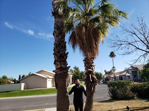 Discovering Yitzchok Grossman's Incredible Backyard. Part 1 Watch and Be Inspired