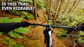 Barely Rideable | ULTRA ROSA Grade 6 Trail @ Redwoods Rotorua
