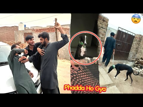 ARBAB APNA SHIKARI DOG LANY AA GYA😨 PHADDA HOGYA💔