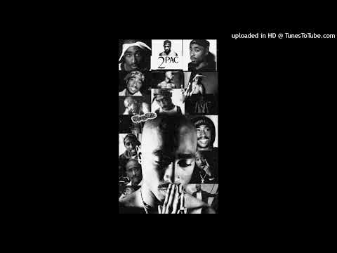 YOUNG P-FREE (AudioOficial)