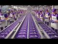How Millions Of Cadbury Dairy Milk Bars Are Made Inside A Factory