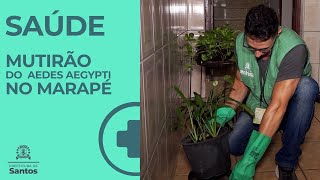 Mutirão do  Aedes aegypti no Marapé #saúde