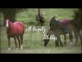 All The Pretty Little Horses - Lyric Video