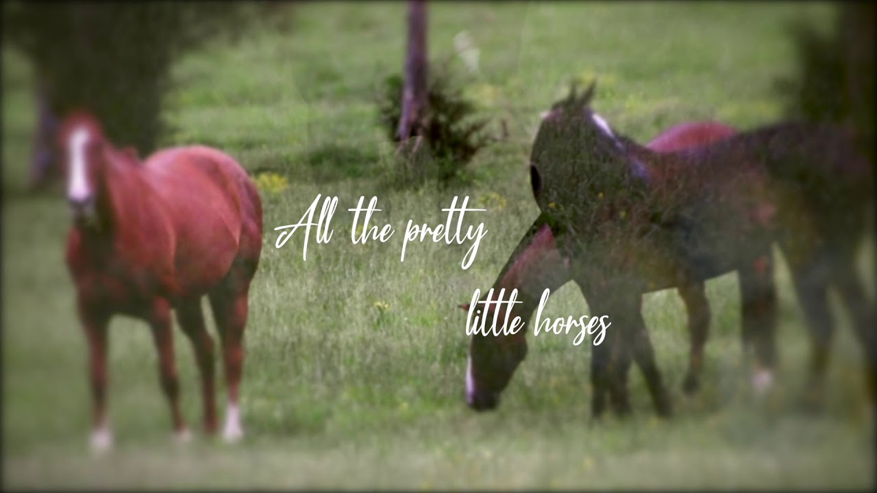 All the Pretty Little Horses