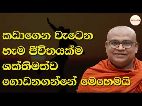 Olaganwaththe Chandasiri Himi - Dharmadakshina - 2025 11 06