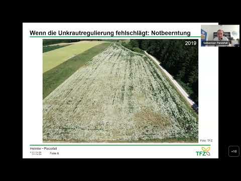 Bestandsetablierung/ Organische Düngung/ Umbruch („Wie werde ich die Silphie wieder los?“)