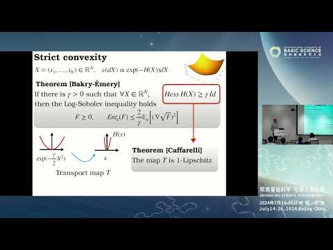 Thierry Bodineau: A renormalisation group perspective on functional inequalities #ICBS2024