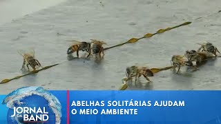 Miniatura do vídeo