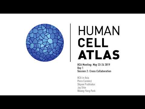 Human Cell Atlas: Cross Collaboration - HCA in Asia