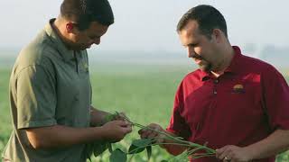 Pioneer Softball vs Frontier