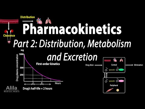 Pharmacokinetics part 1 Overview Absorption and Bioavailability Animation