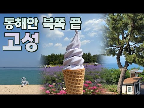 고성의 숨겨진 명소에서 꼭 가봐야 할 여행 코스!