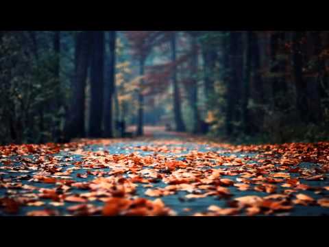 Glittering Puzzle - Olesia (Original Mix)