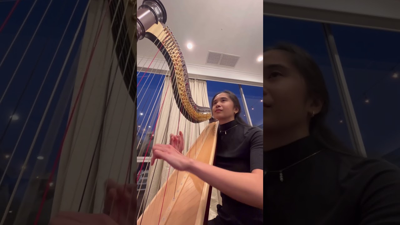 Promotional video thumbnail 4 for Hannah's Harp