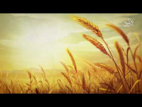 Modlitba za vnitřní svobodu od strachu | Vojtěch Kodet