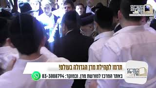 מנהיג הדור מרן רבינו יצחק יוסף בחתונת בתו של רבי דוד פאלאס - נשיא הקהילה היהודית בארגנטינה (מורשת מרן) - התמונה מוצגת ישירות מתוך אתר האינטרנט יוטיוב. זכויות היוצרים בתמונה שייכות ליוצרה. קישור קרדיט למקור התוכן נמצא בתוך דף הסרטון