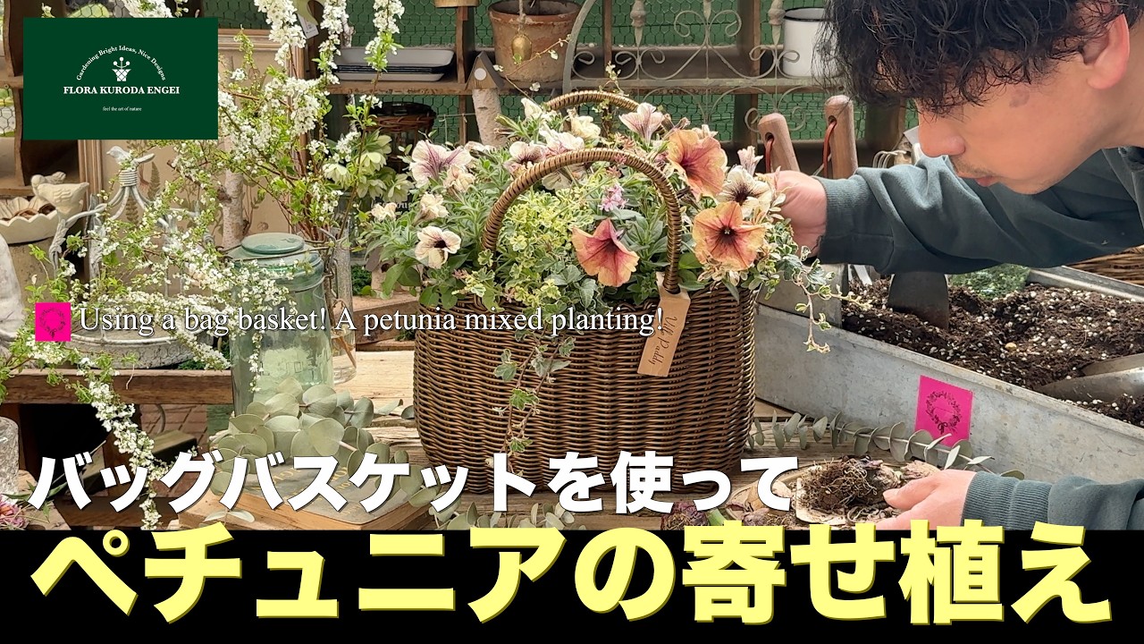 【ペチュニアの寄せ植え】ゴールドのバッグバスケットを使って！「春のガーデニング」-フローラ黒田園芸- #ガーデニング #園芸 #寄せ植え 