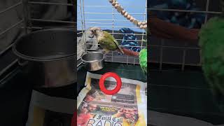 Download lagu , mp3 Download lagu , mp3