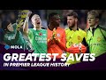 Premier League | Greatest Saves in Premier League History