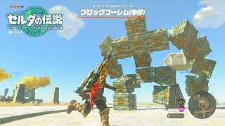 リボルテック超合金【ゼルダの伝説 ティアーズ オブ ザ キングダム】#3