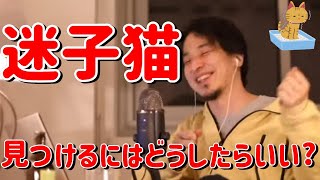 【ひろゆき/切り抜き】迷子猫を効率良く見つけるには?フルテロップ【ひろゆきの切り抜き】