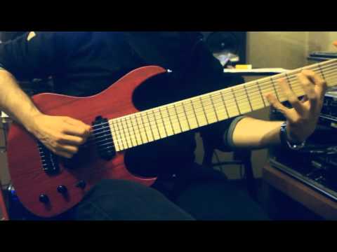 Seymour Duncan Pegasus Sentient 8 Rithmic Test - Blackat feral 8