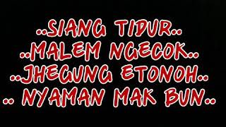 Download lagu Party istimewa STORY WA koplak mp3 Download lagu Party istimewa STORY WA koplak mp3