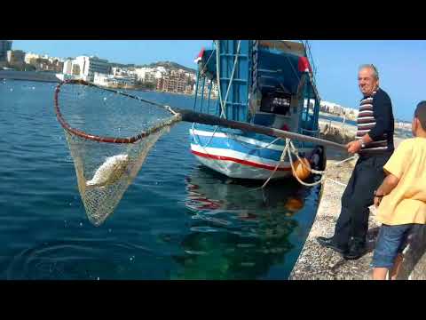 download lagu mp3 mp4 Fishing In Malta, download lagu Fishing In Malta gratis, unduh video klip Fishing In Malta