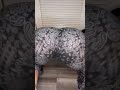 Big Booty Twerk