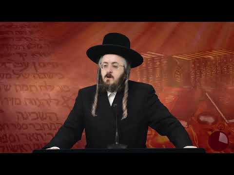 רגע קדוש מהאור החיים תשפ"ג - פרשת מקץ יום א'
