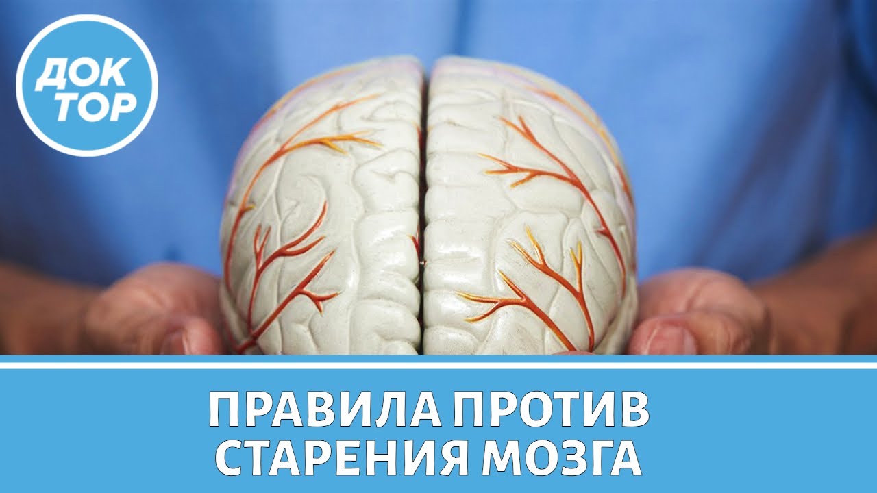 Чем вам нужно заняться, чтобы отсрочить старение мозга