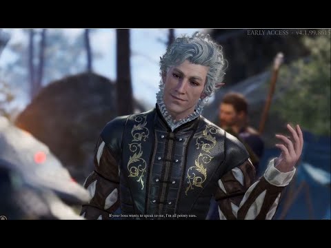 Companions display utter rudeness when talking to them as non-Player Character! - Baldur's Gate 3