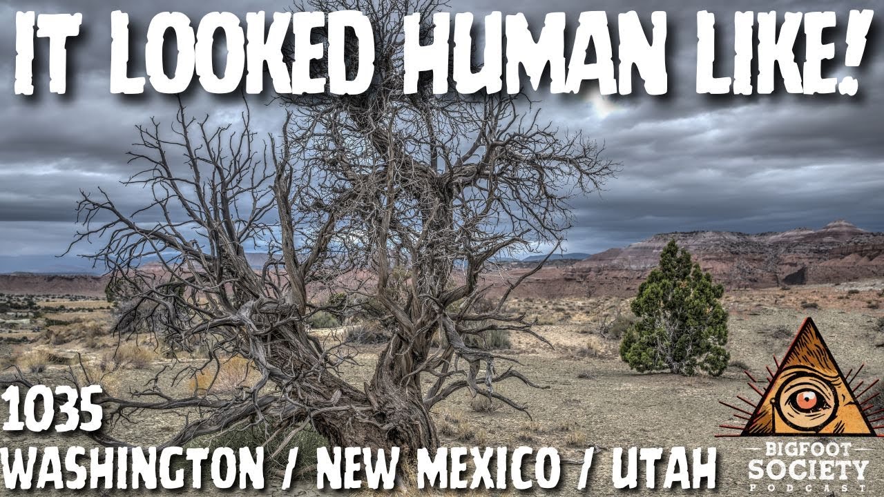 Three Bigfoot Cross a Road in Washington — Then It Gets Darker