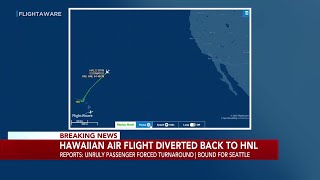 Unruly passenger forces Hawaiian Airlines flight to return to Oahu