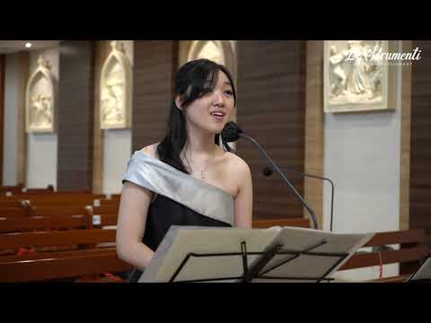 Le Strumenti - How Does A Moment Last Forever [Celine Dion]