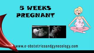5 Weeks Pregnant - Pregnancy Symptoms, Development, Cramping,  Ultrasound, Twins and Baby