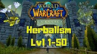 Classic Wow Herbalism Guide for Beginners