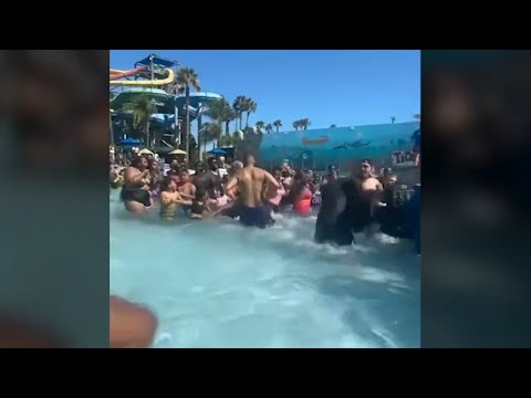 Fight breaks out in wave pool at Knott's Soak City on 4th of July