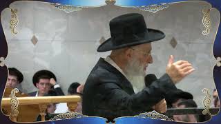 תלויים ועומדים (מוסדות אור החיים) - התמונה מוצגת ישירות מתוך אתר האינטרנט יוטיוב. זכויות היוצרים בתמונה שייכות ליוצרה. קישור קרדיט למקור התוכן נמצא בתוך דף הסרטון תלויים ועומדים (מוסדות אור החיים) - התמונה מוצגת ישירות מתוך אתר האינטרנט יוטיוב. זכויות היוצרים בתמונה שייכות ליוצרה. קישור קרדיט למקור התוכן נמצא בתוך דף הסרטון