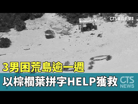 3男困荒島逾一週　以棕櫚葉拼字HELP獲救
